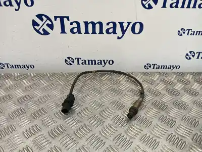 Piesă de schimb auto la mâna a doua sonda lambda pentru volkswagen t5 transporter (7e) 2.0 tdi referințe oem iam 03l906262