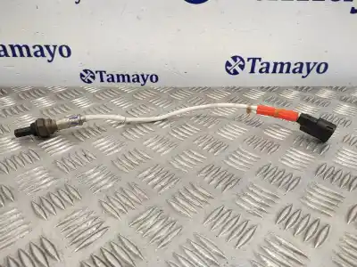 Pezzo di ricambio per auto di seconda mano sonda lambda per ford ka+ (2016 - 2019) b2ka riferimenti oem iam g1b59f472aa