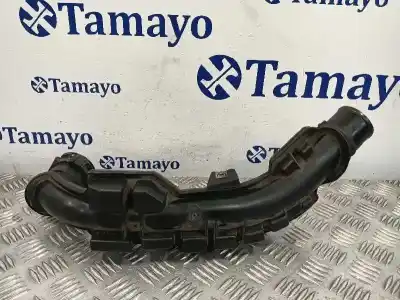 Gebrauchtes Autoersatzteil ROHR zum RENAULT MASTER II FURGONETA (FD)  OEM-IAM-Referenzen 8200646967  