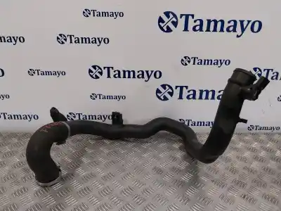 Pezzo di ricambio per auto di seconda mano TUBO per SEAT IBIZA (6J5)  Riferimenti OEM IAM 6J0145770 6J0145762 0281002399
