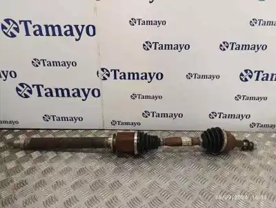 Peça sobressalente para automóvel em segunda mão transmissão dianteira direita por ford focus lim. black&red referências oem iam bv613b436cb