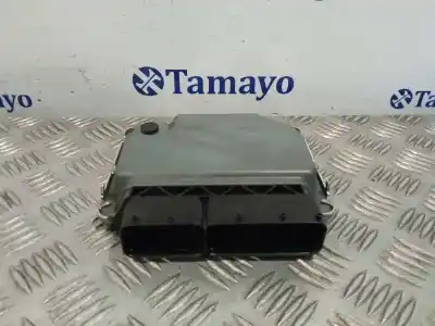 Recambio de automóvil de segunda mano de CENTRALITA MOTOR UCE para SEAT IBIZA (KJ1)  referencias OEM IAM 05C907445 BC0169254H 