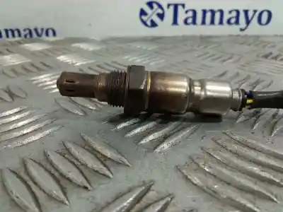 Pezzo di ricambio per auto di seconda mano sonda lambda per peugeot partner (s2) combiespace riferimenti oem iam 9683265480  