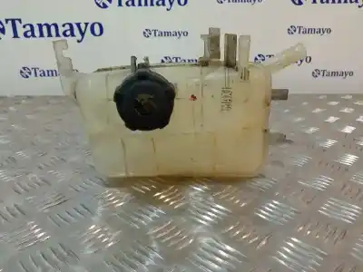 Piesă de schimb auto la mâna a doua vas de expansiune pentru renault scénic iii (jz0/1_) 1.6 dci (jz00, jz12) referințe oem iam 217100005r  