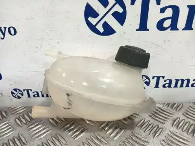 Автозапчастина б/у РОЗШИРЕННЯ ДЕПОЗИТ для DACIA SANDERO * Посилання на OEM IAM 217107259R  