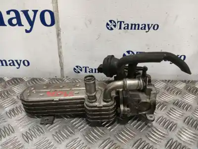 Gebrauchtes Autoersatzteil EGR-KÜHLER zum SEAT LEON (1P1) * OEM-IAM-Referenzen 3239787  