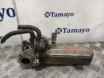 Peça sobressalente para automóvel em segunda mão radiador de gases de escape (egr) por seat leon (1p1) * referências oem iam 3239787 103557 
