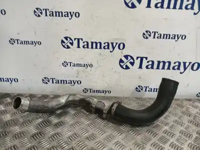 Piesă de schimb auto la mâna a doua tub pentru nissan qashqai / qashqai +2 i (j10, nj10, jj10e) 2.0 dci referințe oem iam 