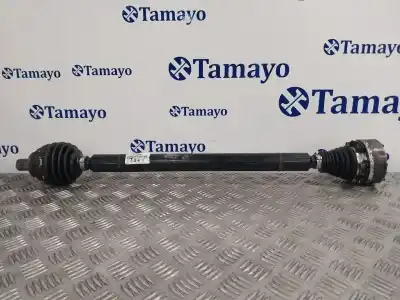 Peça sobressalente para automóvel em segunda mão transmissão dianteira esquerda por seat altea xl (5p5, 5p8) 1.9 tdi referências oem iam 