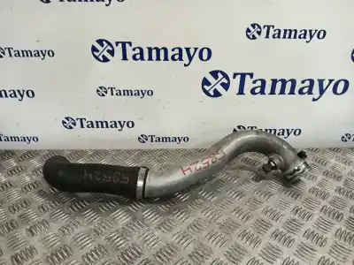 Peça sobressalente para automóvel em segunda mão tubo por bmw serie 3 berlina (e46) * referências oem iam 11612247324c