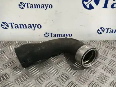 Peça sobressalente para automóvel em segunda mão  por AUDI A3 (8P1)  Referências OEM IAM 1K0145834N  