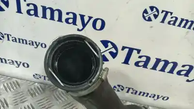 Peça sobressalente para automóvel em segunda mão tubos de intercooler por bmw 1 (e81) 118 d referências oem iam 11884414  1153504