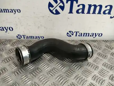 Peça sobressalente para automóvel em segunda mão tubo por audi a3 (8p1) 1.9 tdi referências oem iam 1k0145832b