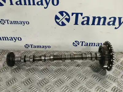 İkinci el araba yedek parçası  için NISSAN QASHQAI / QASHQAI +2 I (J10, NJ10, JJ10E)  OEM IAM referansları 130015174R  