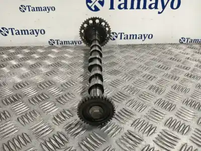 Peça sobressalente para automóvel em segunda mão eixo de comando por nissan qashqai / qashqai +2 i (j10, nj10, jj10e) 1.6 dci a las 4 ruedas referências oem iam 130015174r  