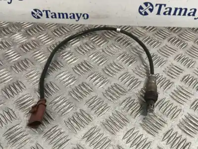 Peça sobressalente para automóvel em segunda mão sonda lambda por seat leon (5f1) 1.4 tsi referências oem iam 04e906262