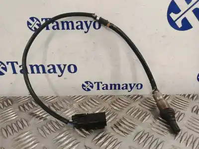 Peça sobressalente para automóvel em segunda mão sonda lambda por seat leon (1p1) 1.2 tsi referências oem iam 03f906262b