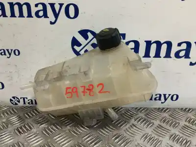 Piesă de schimb auto la mâna a doua VAS DE EXPANSIUNE pentru RENAULT KANGOO / GRAND KANGOO II (KW0/1_) 1.5 DCI 85 (KW0K, KW0L, KW0B) Referințe OEM IAM 8200455786  