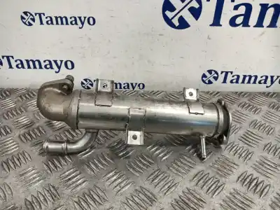 Peça sobressalente para automóvel em segunda mão RADIADOR DE GASES DE ESCAPE por VOLKSWAGEN GOLF IV (1J1) 1.9 TDI Referências OEM IAM   