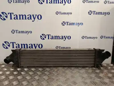 Pezzo di ricambio per auto di seconda mano INTERCOOLER per FORD KUGA I  Riferimenti OEM IAM 6G919L440AE  880624D