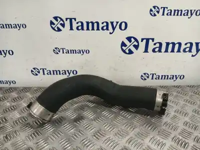 Peça sobressalente para automóvel em segunda mão TUBO DO INTERCOOLER por BMW 5 TOURING (F11) 520 D Referências OEM IAM 781061502  