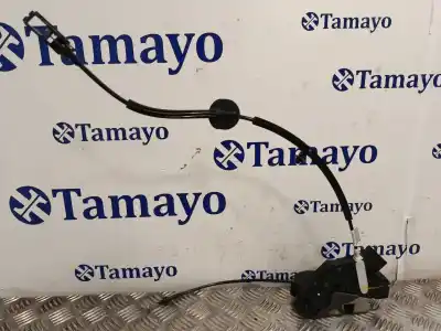 Peça sobressalente para automóvel em segunda mão fechadura da porta dianteira esquerda por ford transit connect v408 furgoneta/monovolumen 1.5 ecoblue referências oem iam am5au21813ed