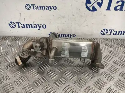Pezzo di ricambio per auto di seconda mano raffreddatore egr per bmw 1 (e81) 120 d riferimenti oem iam   