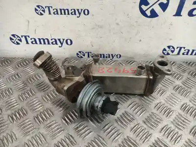 Pezzo di ricambio per auto di seconda mano raffreddatore egr per bmw 1 (e81) 120 d riferimenti oem iam   