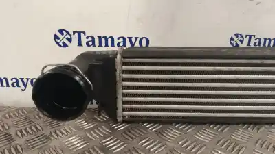 Pezzo di ricambio per auto di seconda mano intercooler per bmw x3 (e83) 2.0 d riferimenti oem iam   