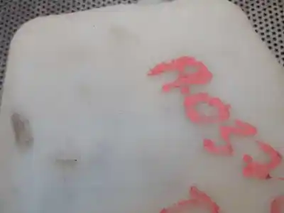 Second-hand car spare part windscreen washer bottle for renault kangoo expression oem iam references 7700308814d  