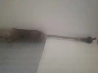 Pezzo di ricambio per auto di seconda mano cremagliera per ford transit mod. 2000 combi ft 260 2.0 corto riferimenti oem iam yc153200aj  q04r0859p