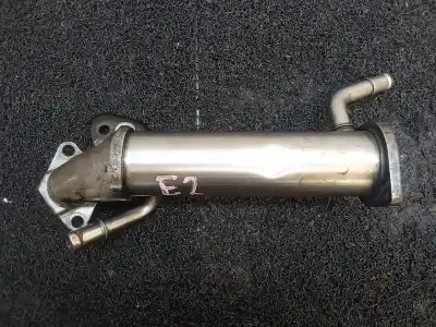 Peça sobressalente para automóvel em segunda mão radiador de gases de escape (egr) por ford transit combi ´06 ft 330 k trend referências oem iam 6c1q9f464bb