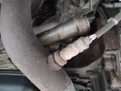 Peça sobressalente para automóvel em segunda mão sonda lambda por peugeot 206+ básico referências oem iam   
