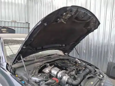 Pezzo di ricambio per auto di seconda mano ammortizzatore cofano per jaguar xe prestige riferimenti oem iam gx7316c826ab