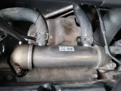 Pezzo di ricambio per auto di seconda mano raffreddatore egr per kia carnival 2.9 crdi vgt active riferimenti oem iam 284164x900