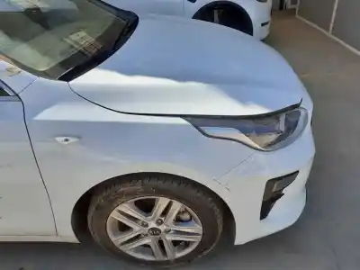 Peça sobressalente para automóvel em segunda mão nariz completo por kia ceed concept referências oem iam   