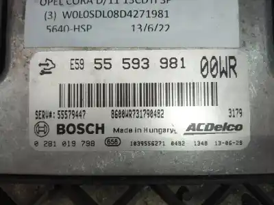 Автозапчасти б/у блок управления двигателем за opel corsa e expression ссылки oem iam 0281019798 55579447 00wr e5955593981