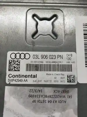 Автозапчасти б/у блок управления двигателем за audi a3 (8p) 1.6 tdi ссылки oem iam 5wp42949aa  03l906023pn