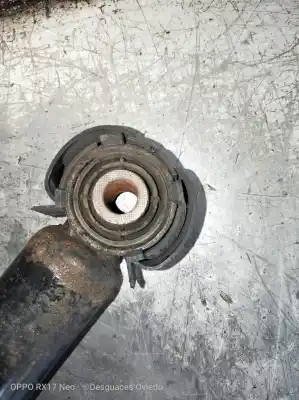 Peça sobressalente para automóvel em segunda mão amortecedor traseiro esquerdo por audi a5 coupe (8t) 3.0 v6 24v tdi referências oem iam 8k0513035l  