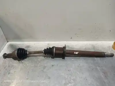 Peça sobressalente para automóvel em segunda mão  por JAGUAR X-TYPE WAGON  Referências OEM IAM   