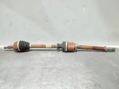 Peça sobressalente para automóvel em segunda mão TRANSMISSÃO DIANTEIRA DIREITA por RENAULT MEGANE II BERLINA 5P MEGANE II BERLINA Referências OEM IAM 8200790517  