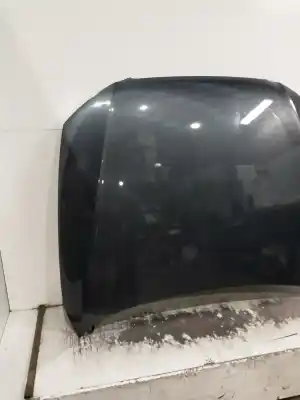 Pezzo di ricambio per auto di seconda mano cofano per audi a5 (8t3) 3.0 tdi quattro riferimenti oem iam   