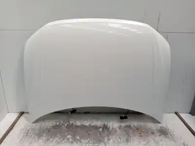 Pezzo di ricambio per auto di seconda mano COFANO per VOLKSWAGEN TIGUAN (AD1, AX1) 2.0 TDI Riferimenti OEM IAM   
