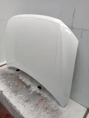 Pezzo di ricambio per auto di seconda mano cofano per volkswagen tiguan (ad1, ax1) 2.0 tdi riferimenti oem iam   