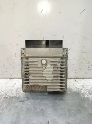 Pezzo di ricambio per auto di seconda mano CENTRALINA MOTORE per SEAT LEON (1P1) Stylance / Style Riferimenti OEM IAM 5WP42915AA  