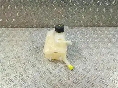 Second-hand car spare part Coolant Expansion Tank for RENAULT MEGANE II (BM0/1_, CM0/1_) 1.9 dCi OEM IAM references 217100005R  