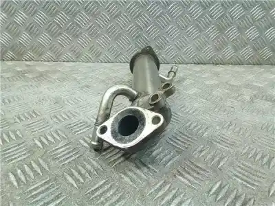 Автозапчасти б/у охладитель рог за ford transit furgón (tt9) p8fa ссылки oem iam 8c1q9f464ab  
