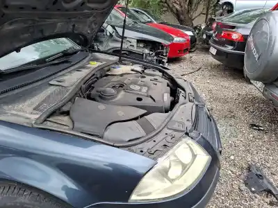 İkinci el araba yedek parçası torpido için volkswagen passat b5.5 (3b3) 1.9 tdi oem iam referansları   