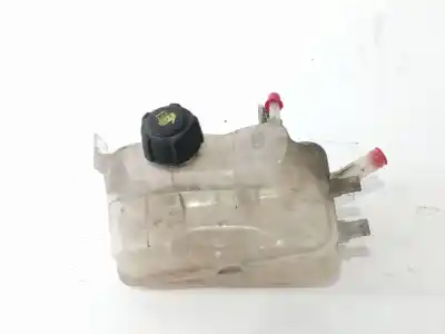 Автозапчастина б/у розширення депозит для renault scénic iii (jz0/1_) 1.5 dci посилання на oem iam 217100005r  