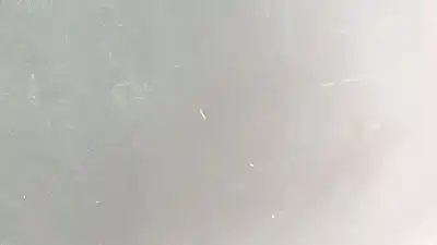 Pezzo di ricambio per auto di seconda mano cofano per bmw 3 touring (e46) 330 xd riferimenti oem iam 41617042893 41 61 7 042 893 